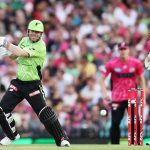 Cricket NSW fears negative consequences of Big Bash private investment