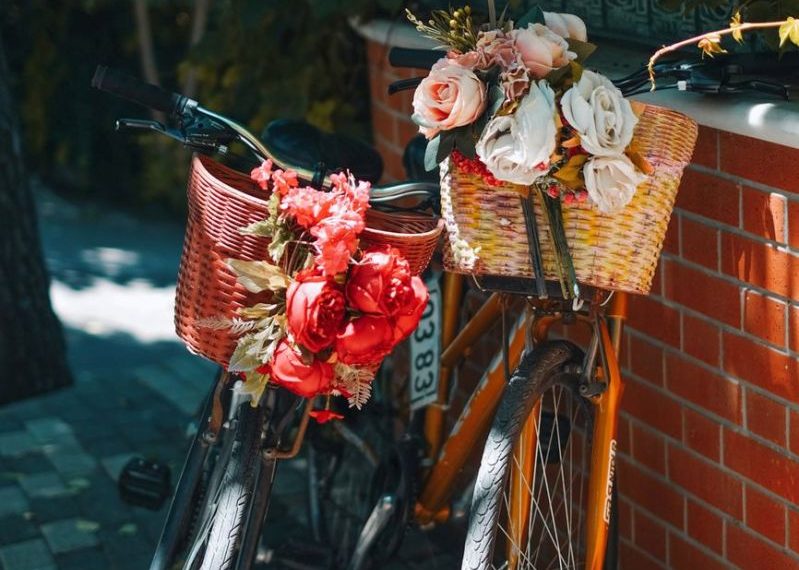 Join the 3rd Annual World Car Free Day Bike Ride on Sept 22