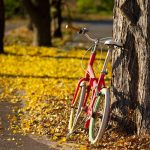 Sam’s fall fitness routine – FIT IS A FEMINIST ISSUE