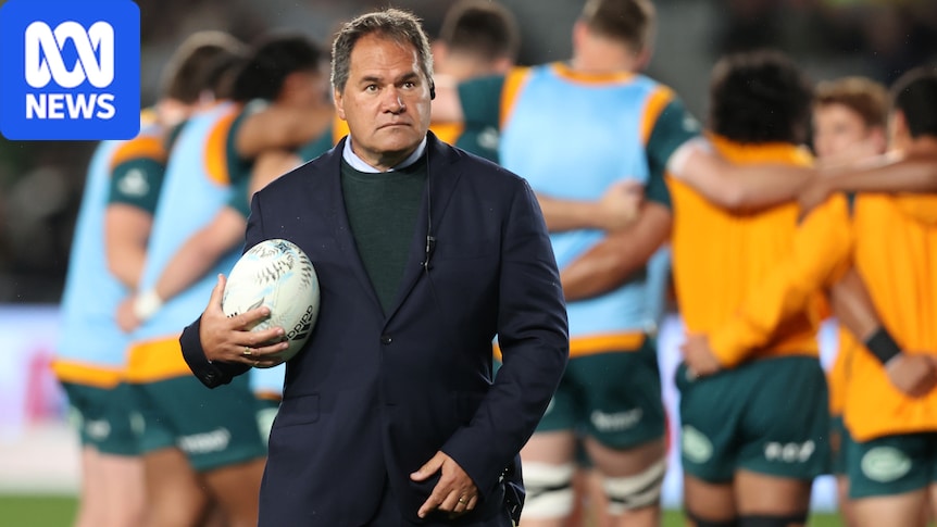 Wallabies heap praise on All Blacks coach Dave Rennie ahead of Bledisloe Cup Test at Eden Park