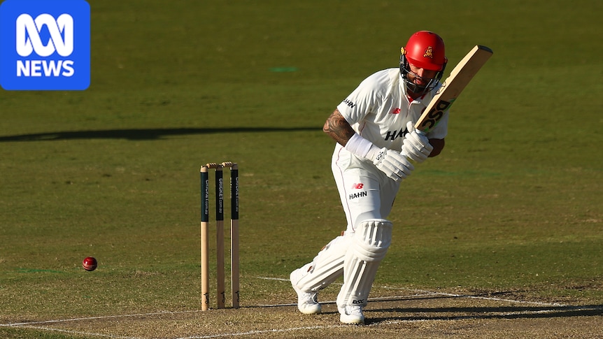 Dropped Test opener Jake Weatherald out of Sheffield Shield match with concussion