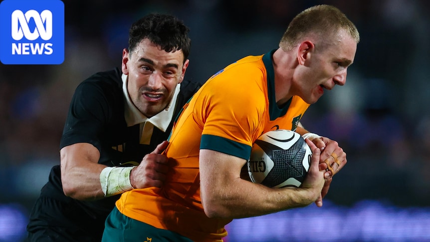 Wallabies must ‘walk the walk’ against All Blacks if 40-year-old Eden Park Bledisloe Cup curse is to end