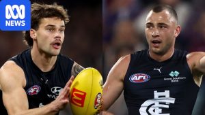 Two Carlton AFL players hospitalised in Melbourne